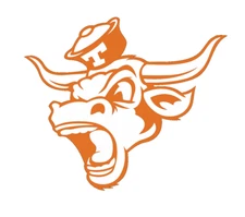 Texas Longhorns Weather Resistant Vinyl Die Cut Sticker Decal 08