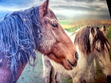 HORSE Muddy Horse farm country living Fur Babies Anti slip MOUSE PAD 9 X 7" USA