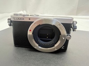Panasonic LUMIX DMC-GM1 超美品 GM 1 Lumix | eBay