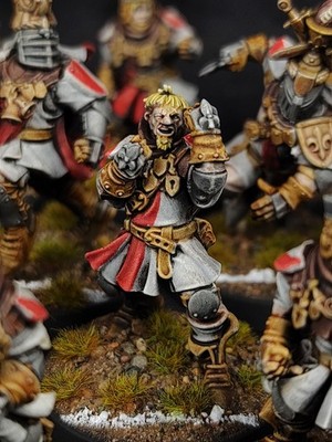 Pro-painted, Bloodbowl, 12 Spieler, Bretonnian Team. Die Brionne Barone