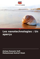 Les Nanotechnologies : Un AperçU Ashaq Hussain Sofi (U. A.) Taschenbuch 2024