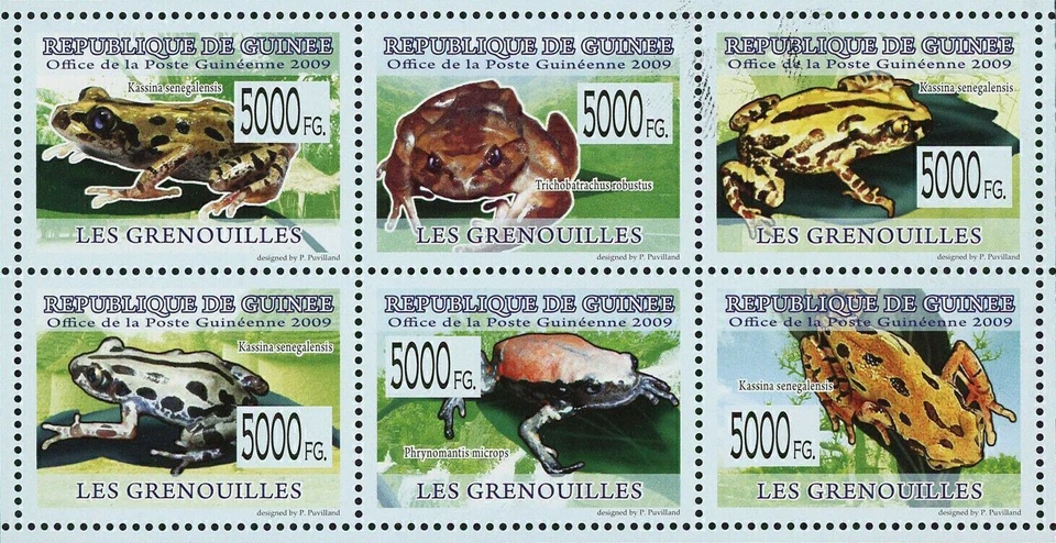 Sello de ranas Kassina Senegalensis Trichobatrachus Robustus Phrynomantis S/S MNH Foto 2 de 4