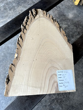 Live edge Ash 1405 slab, lumber, unfinished, free shipping