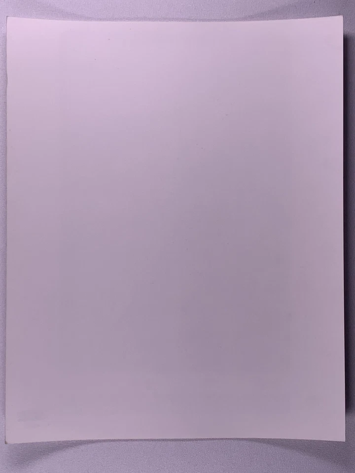 Rage Against The Machine Photo Official Epic Promo Circa 1990s - Image 2 of 4