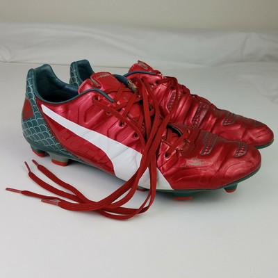 puma evopower 1.2 dragon