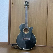 Takamine Takamine NPT-110 chitarra acustica elettrica