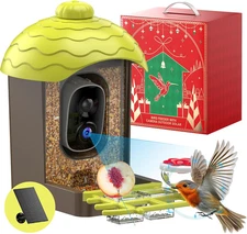 Smart Bird Feeder with Camera Outdoor: 2K Wild Bird Watching Video Cam - Unique 
