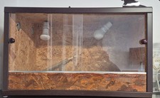 reptile terrarium