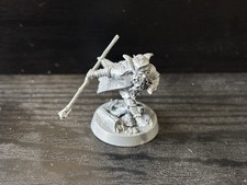 Lord Of The Rings The Hobbit Radagast the Brown Games Workshop Rare