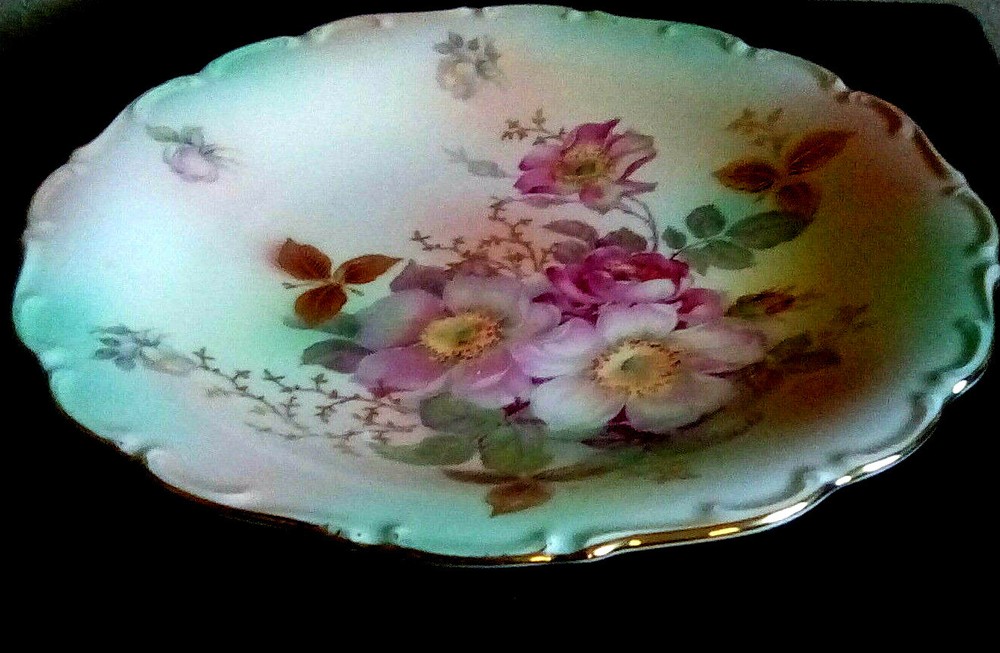 Vintage Schumann Arzberg Germany Bavaria  large plate Wild Rose 12