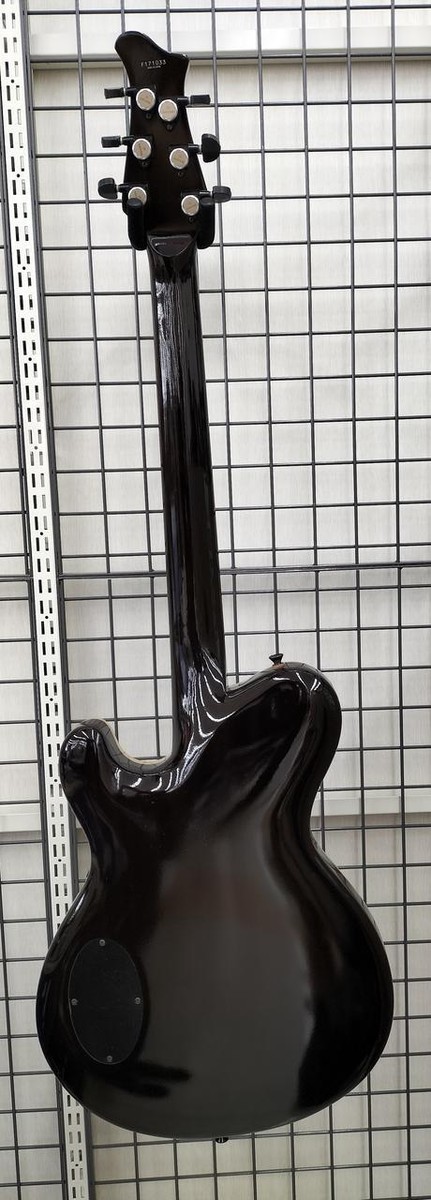 ギター Ryoga CICADA-G2E/HCH RYOGA CICADA-G2E｜セミホロウボディの人気モデルが最新仕様と