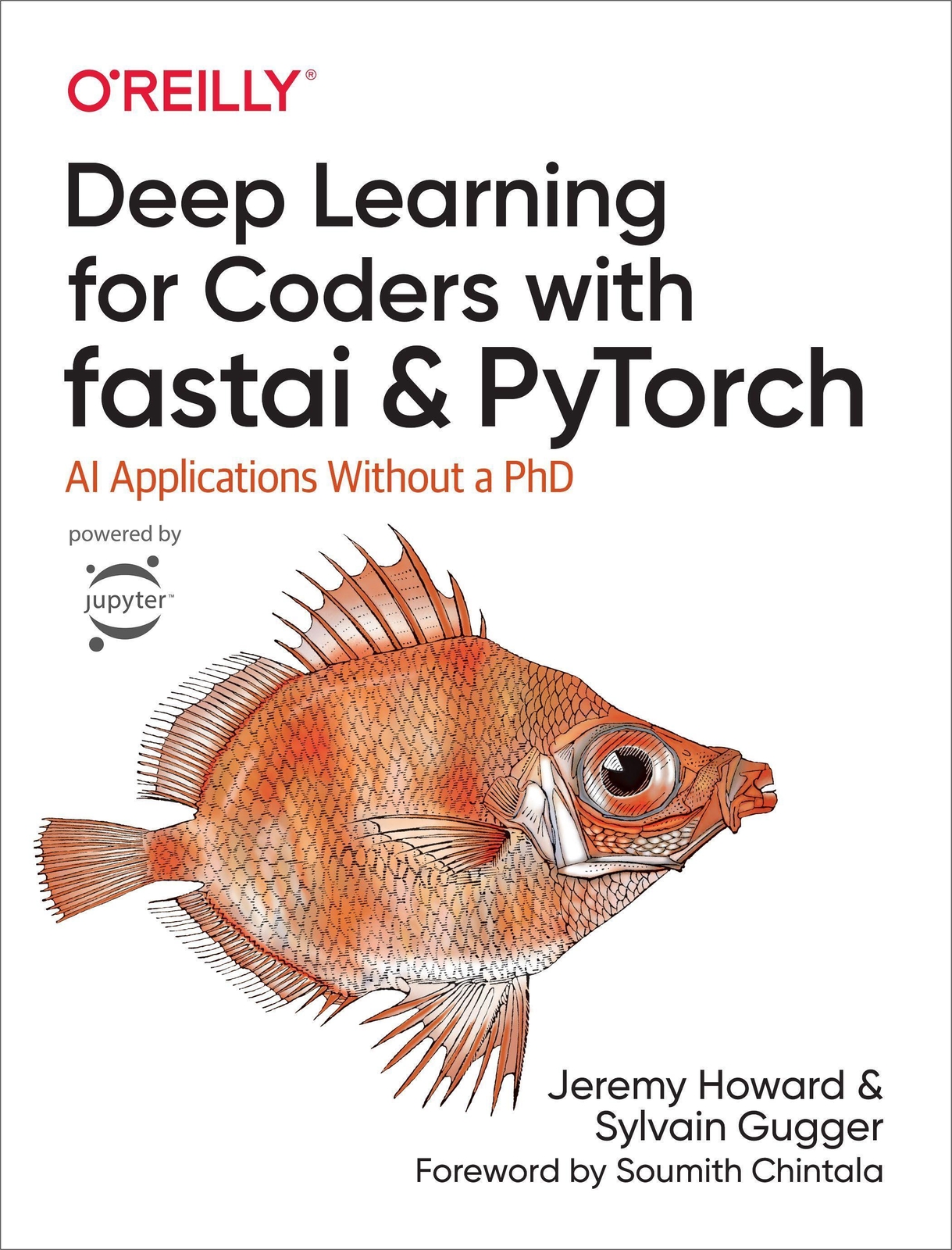 Thumbnail - Jeremy Howard (u. A.) | Deep Learning For Coders With Fastai And