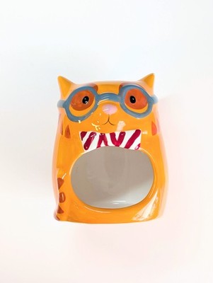 Orange Smarty Cat Scrub Holder, Ceramic, Planter, Plant Pot, Decor Trinket Dish