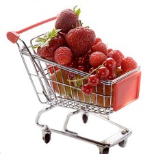 Shindel Mini Shopping Cart for Kids, Grocery Store Pretend Play for Toddler S...
