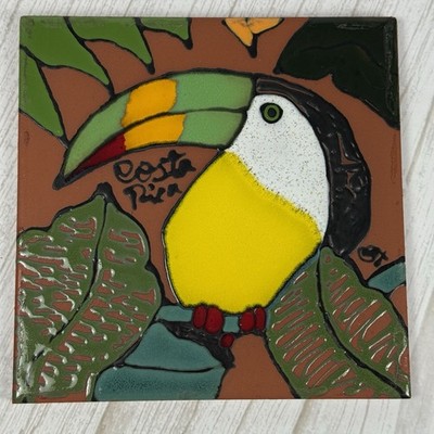 Hand Painted Terra Cotta Toucan Bird Art Tile Made Costa Rica Signed 6x6 READ