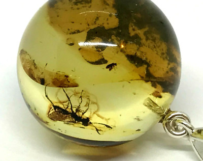 BERNSTEIN ANHÄNGER 2 INSEKTEN Geschenk Insekt rund Perle BALTIC AMBER Silber 925 6,5g17498