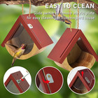 2 Pack Hummingbird House Window View Wooden Bird Houses for outside Hummingbird