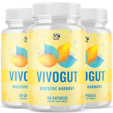 (3 Pack) Vivogut Probiotic Supplement For Gut Health Support Vivo Gut 180 Caps