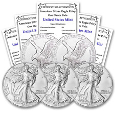 2024 Lot of 5 American Silver Eagle 1 oz BU Coins Star Privy w/ COA......