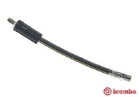 Brembo T85037 Bremsschlauch 240 Mm FüR Audi 100 C3 C4 200 80 B4 A4 B5 A6 V8