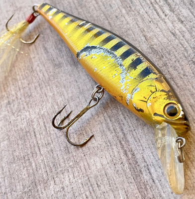 Lucky Craft Pointer SP 100 Jerkbait Metallic Gold Perch Tiger 4'' Bass Feather