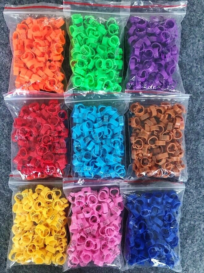 100 x NUMBERED 8MM PIGEON LEG CLIP CLICK RINGS BANDS BREEDER STOCK LOFT COLOURS
