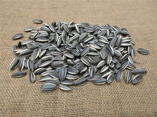 US! 100/200pcs Art Ai Weiwei Yixing Porcelain Sunflower Seeds Decoration Collect - Picture 11 of 14