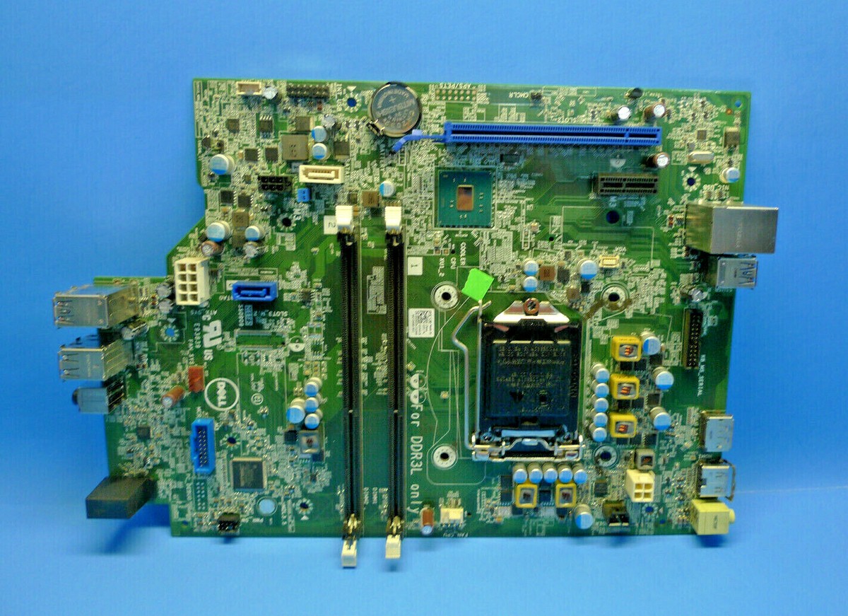 即戦力!OptiPlex 3040/Cel G3900/SSD/office Refurbished Dell Optiplex 3040 SFF 3.20GHz 8GB 512GB SSD