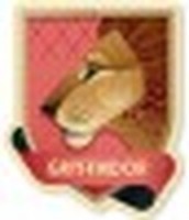 Harry Potter Gryffindor Puzzle 331 StüCk Grupo Erik