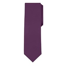 Solid Color Men's Regular Tie Eggplant Purple