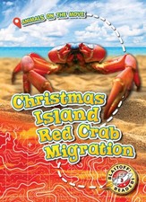 Christmas Island Red Crab Migration by Kari Schuetz (Hardback Book)