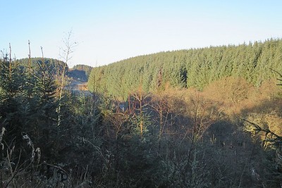 Photo 6x4 Den of Glasslaw Craigmaud In eastern Scotland the word 'de c2017