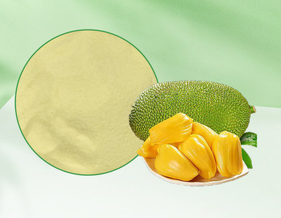 Pure Jackfruit Extract Powder 500g