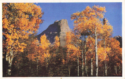 Postcard Autumn Leaves Colors Rochie Miette Alberta Canadian Rockies No. 11