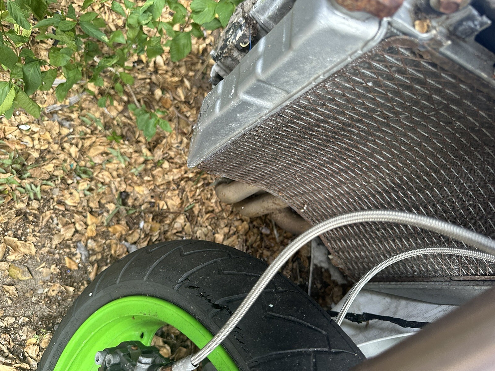 Picture 20 of 21