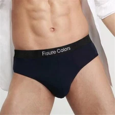 New Men's Cotton Triangle Underwear Sexy Low Waist Cotton Casual Underpants