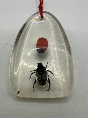 Real Insect pendant In Plastic Resign 1.5 