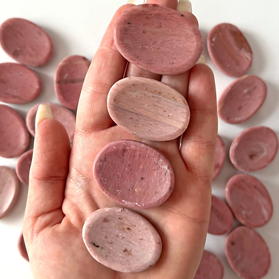 Pink Petrified Wood Worry Stone | Ancestral Wisdom | Love