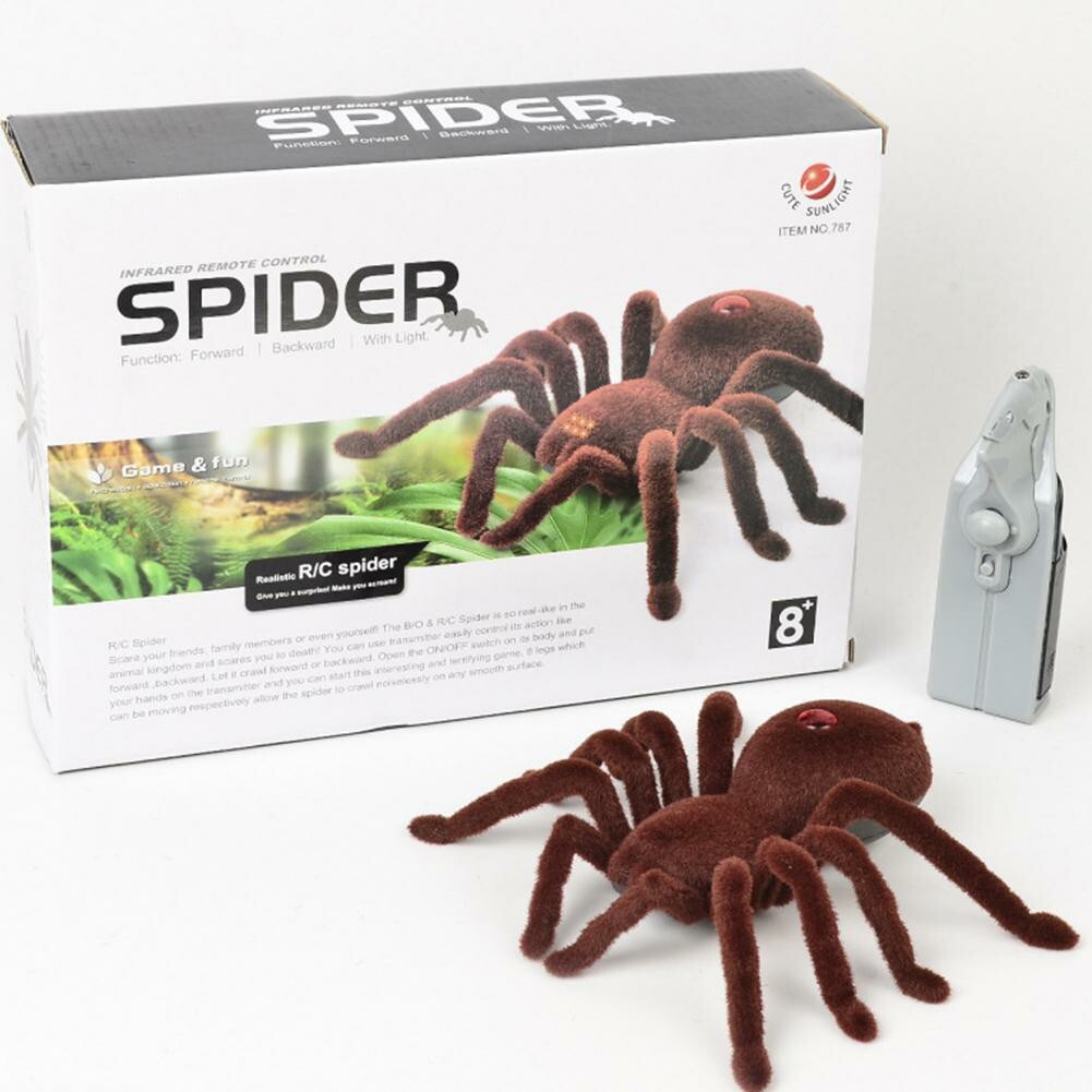 Araignée télécommandée tarentule en cadeau d'anniversaire pour garçon
