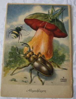 Postcard artist card, knocked off, signed R. Engelhardt, Mushroom, Stag Beetle, Locust  