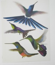 PARADIESVÖGEL UND KOLIBRIS - ERNEST KUPPER & WALTER LINSENMAIER - 1958