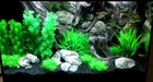 Bild 64 von 65