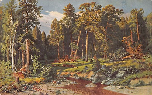 Russia - Ivan Shishkin - Painting - A Pine Forest. Mast-Timber forest in Viatka - Picture 1 of 2