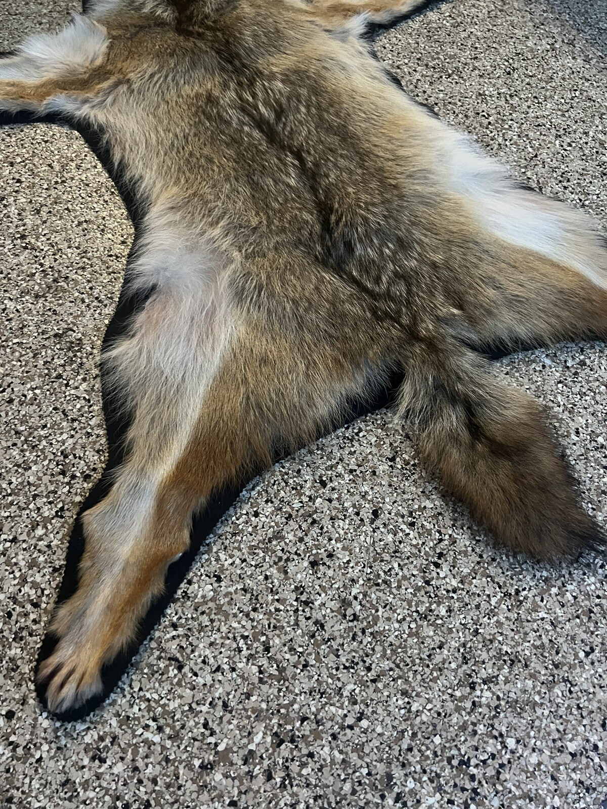 Picture 3 of 5