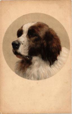 CPA AK Beautiful dog DOGS (727866)