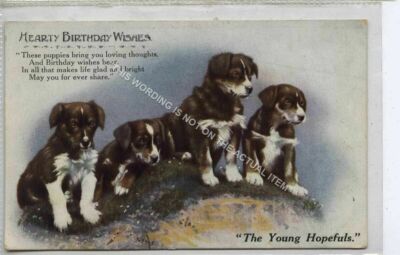 (KLh9539-477) Herzliche Geburtstagswünsche, ''Die jungen Hoffnungsträger'' gebraucht G-VG