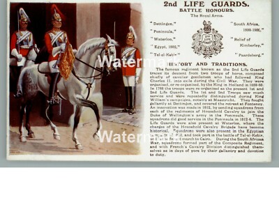 0990. Geschichte & Traditionen. 2nd Dragon Guards (Queen's Bays)