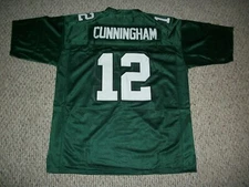 RANDALL CUNNINGHAM Unsigned Custom Philadelphia Sewn Football Jersey Sizes S-3XL