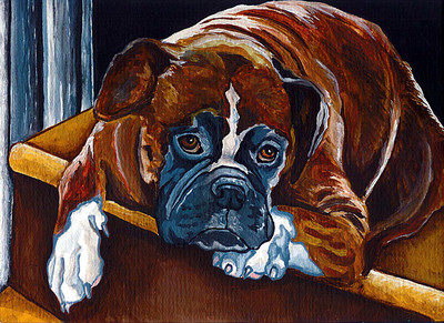 BOXER Brindle Fawn White Dog Signed 8x10 Art PRINT of Original