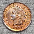 Nice 1902 Indian Head Cent